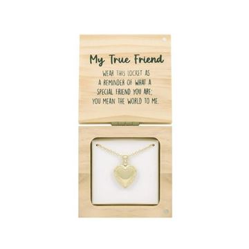 Picture of Friends locket necklace
