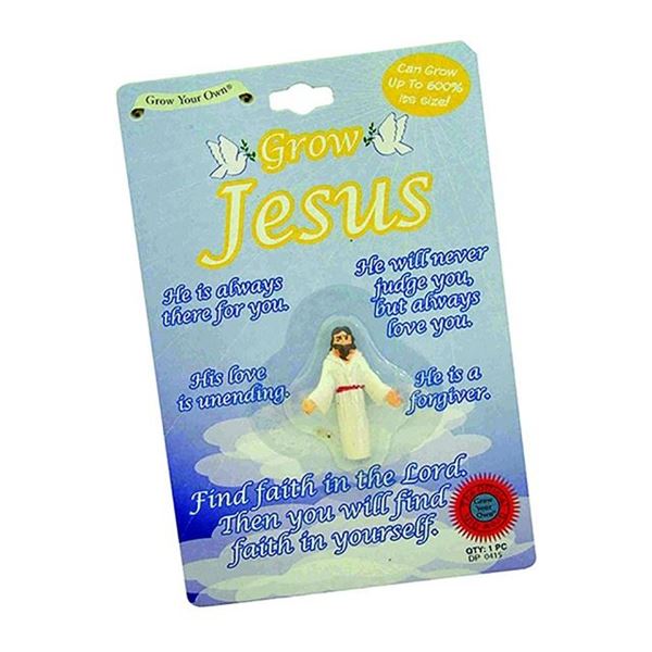 Picture of Grow a jesus