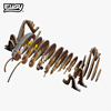Picture of Eugy weta