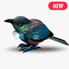 Picture of Eugy tui